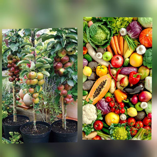 campestrecasablanca_008